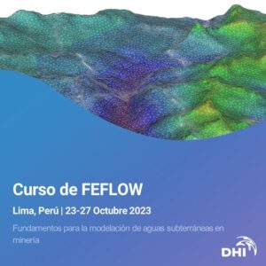 Curso de Feflow en Lima